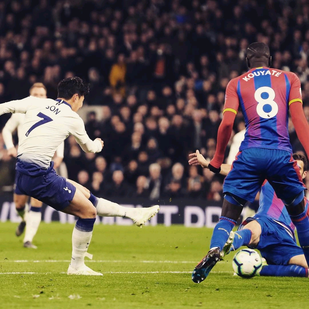 这些球员都 这些球员都