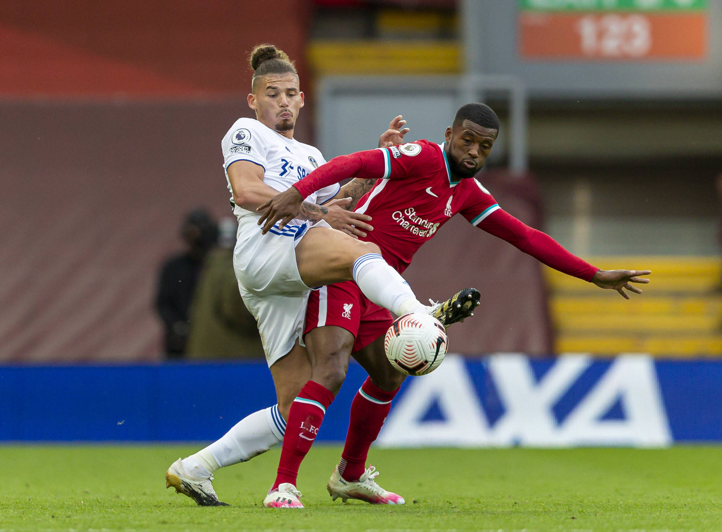 多半有几种 多半有几种